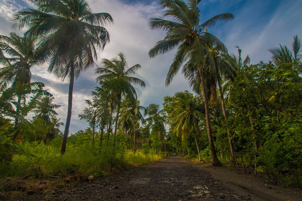 Atauro Island: The Tropical Paradise You've Never Heard Of - Travel Tramp