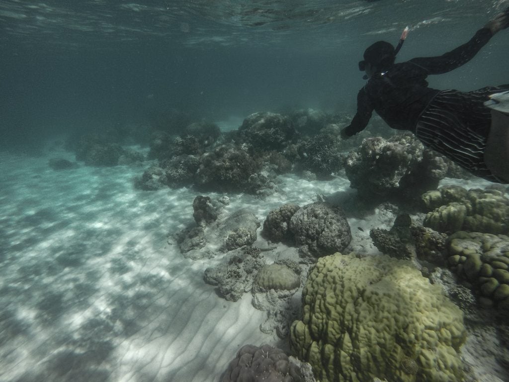 Giant Clam Sanctuary Camiguin