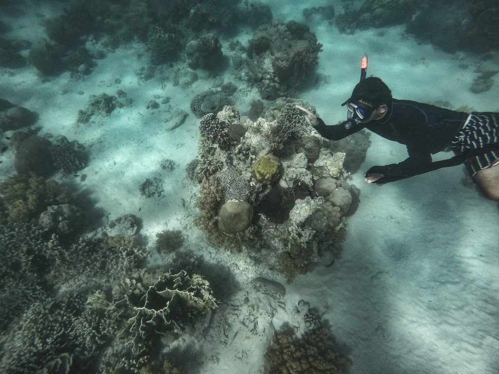 Giant Clam Sanctuary Camiguin