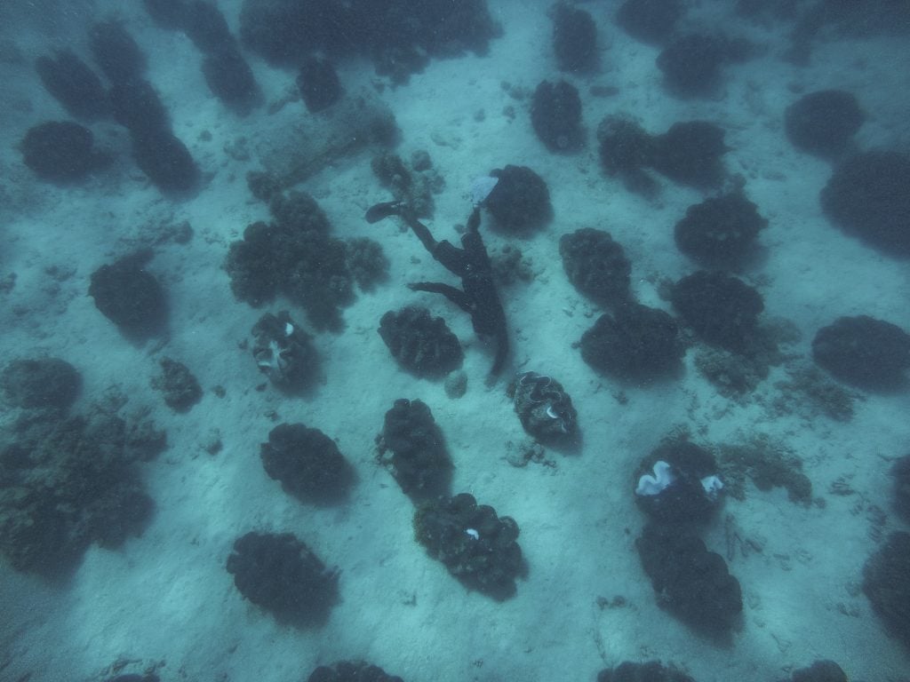 Giant Clam Sanctuary Camiguin