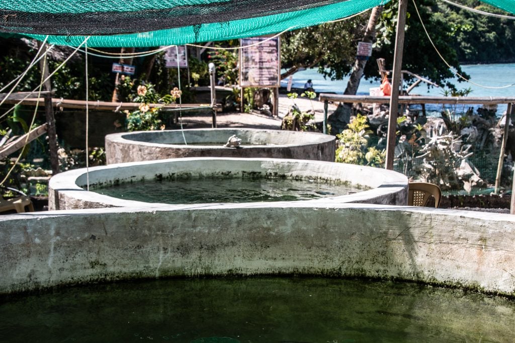 Giant Clam Sanctuary Camiguin