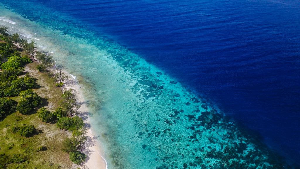  Jaco Island