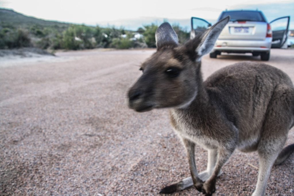 Esperance Photos