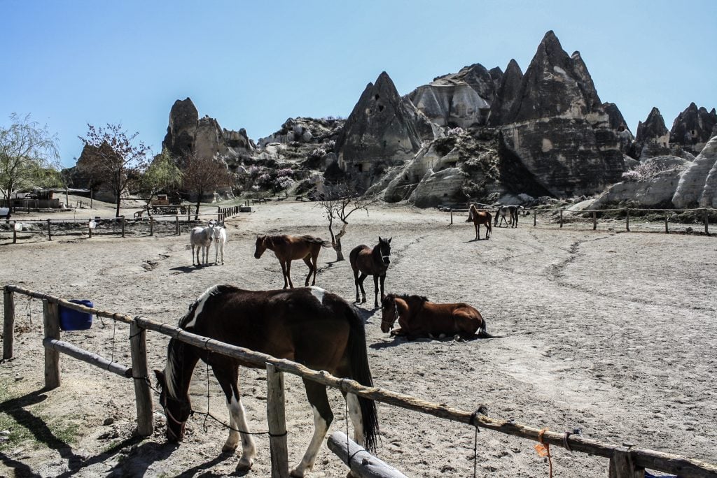 Things to do in Cappadocia 