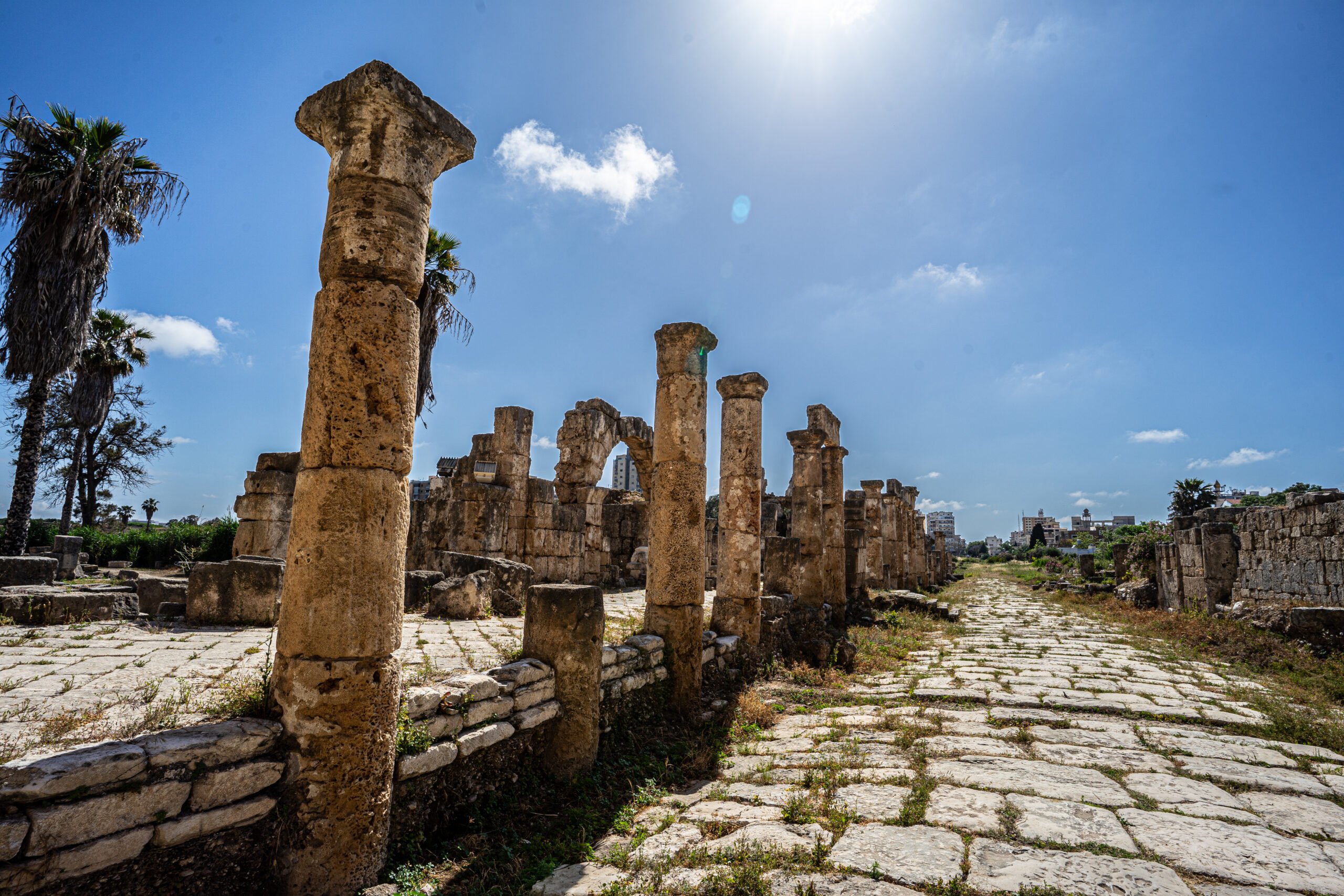 Hobbeze Lebanon - 513435o