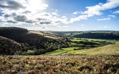 How Many Counties in Wales? Everything You Need to Know.