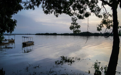 Where is The Gambia? Everything You Need to Know.