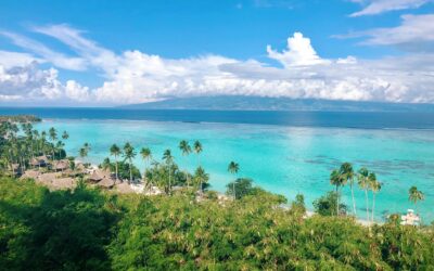 How Many Countries are in Oceania? Everything You Need to Know.