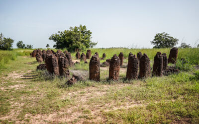 14 Best Places to Visit in The Gambia