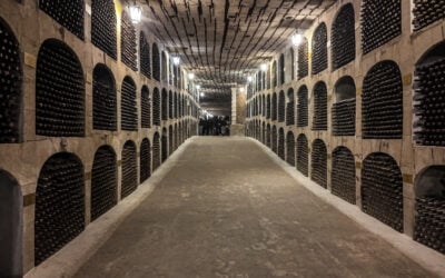 How I Visited Mileștii Mici Winery, Moldova’s Underground Wine City (Complete Guide 2026)